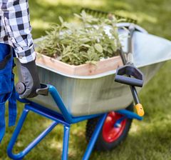 A wheelbarrow makes your life easier around the gardening lifting and moving the heavy stuff.