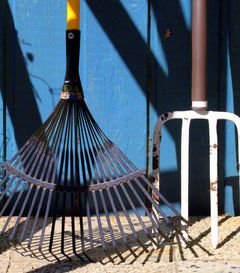 A rake helps you tirelessly work the soil clear of leaves and dirt