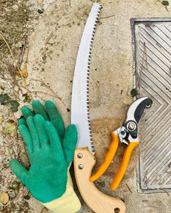 A manual pruning saw is an essential tool for gardeners and the outdoor space
