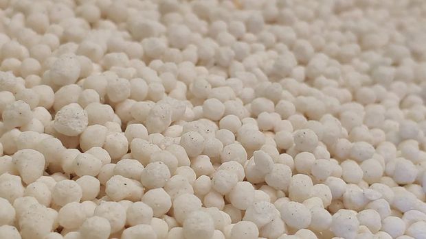 White nitrogen pearls to be used as fertiliser to cope with a nitrogen deficiency.