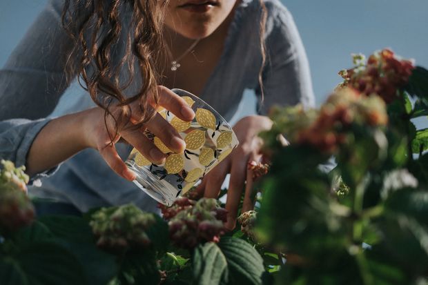 Water both jasmine and roses regularly for optimal growth