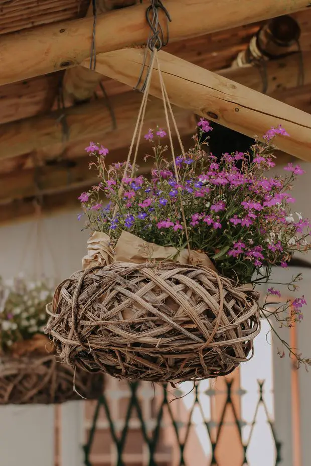 Vibrant and delicate, high basket flowers create a stunning display with their colorful blooms.