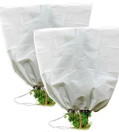 It is important to cover your gardenias with fabric frost cloth during the winter
