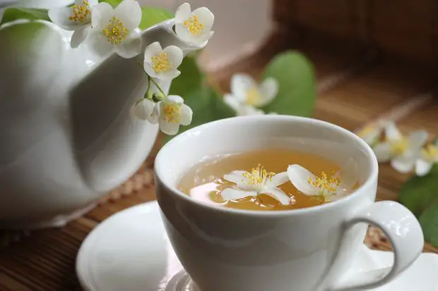 In this post we will discuss all the wellbeing benefits of jasmine tea.