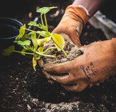 Gardening gloves will preent any injuries and blosters in your hands when handling weeds and soil