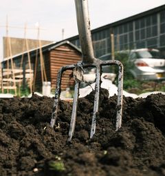 A weeder is an invaluable tool for the removal of weeds
