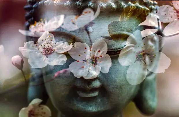 Jasmine blooms symbolize purity, spirituality, and the path to enlightenment in Buddhist rituals