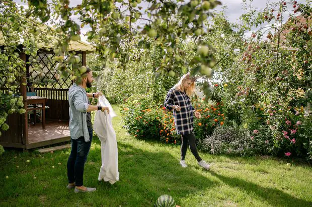 Locating the optimal area where to plant your jasmine and other flowers is crucial