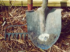 A digging shovel is the perfect tool to dig and plant