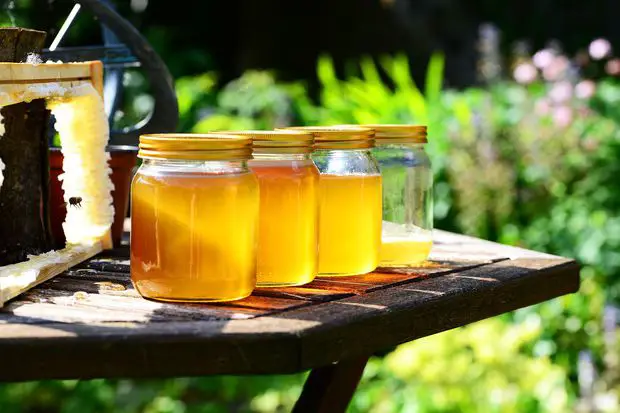 Honey is as a natural antimicrobial agent, ideal to grow jasmines