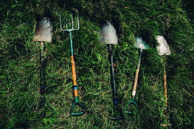 In this post, we will be describing the top 20 most common gardening tools!